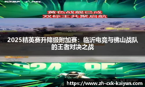 2025精英赛升降级附加赛：临沂电竞与佛山战队的王者对决之战